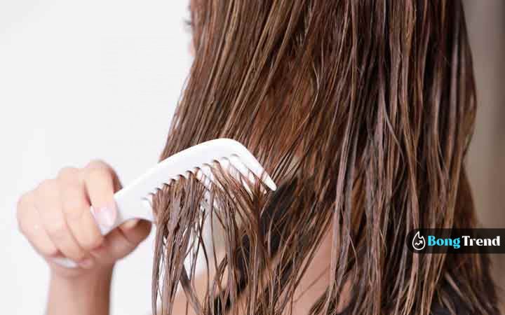 dry hair problem solution in winter,Hair Problems,Dry Hair Problems,চুলের সমস্যা,রুক্ষ চুল,চুলের যত্ন,লাইফস্টাইল,Lifestyle