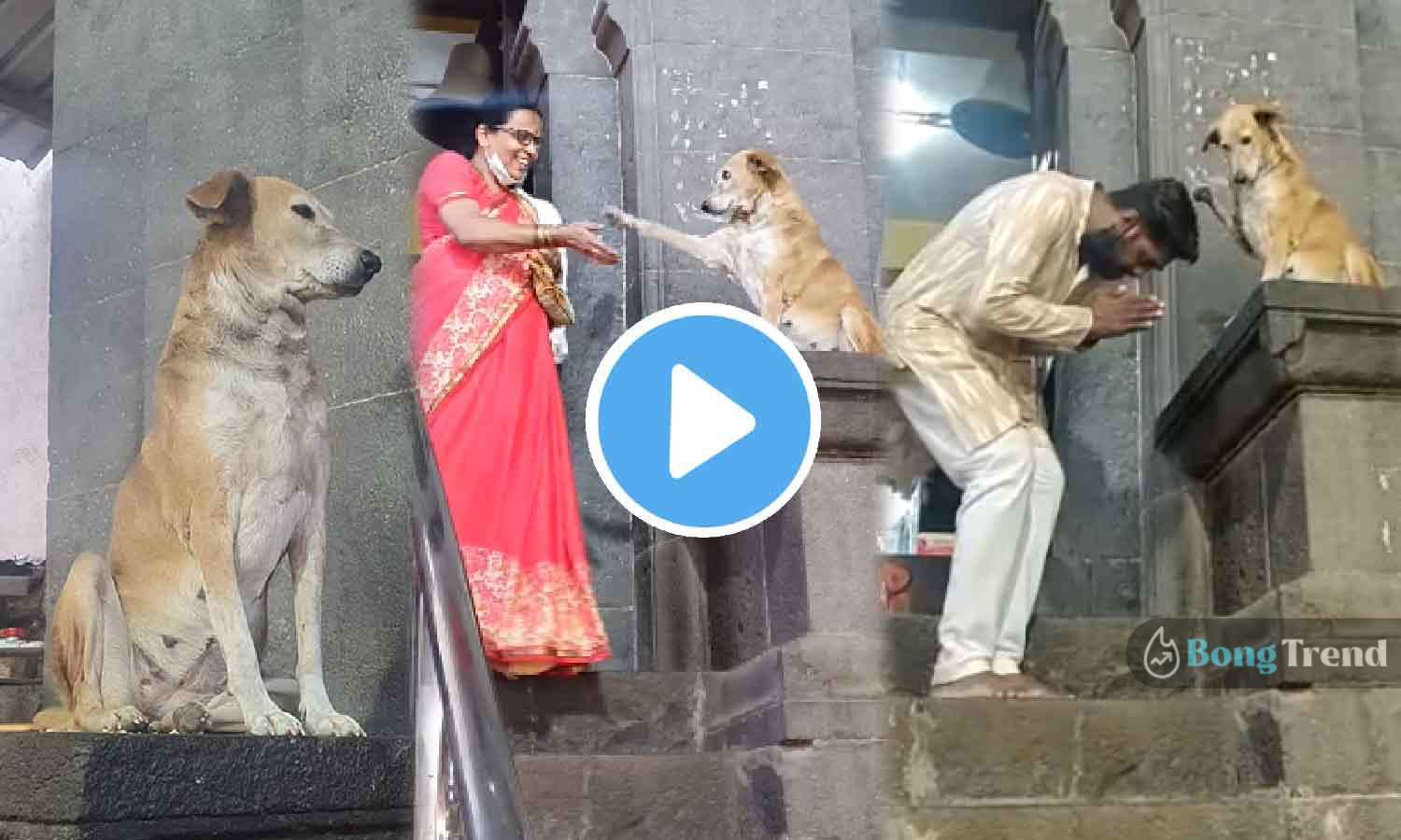 Dog giving blessing Viral VIdeo ভাইরাল ভিডিও