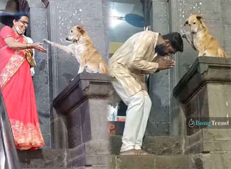 Dog giving blessing Viral VIdeo ভাইরাল ভিডিও