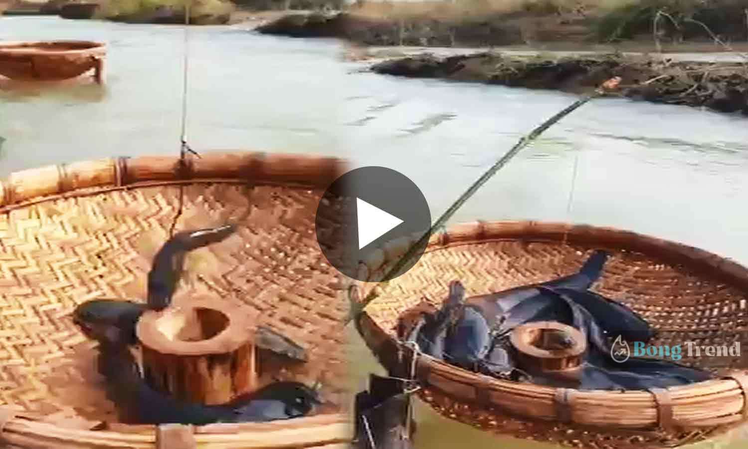 Viral Video ভাইরাল ভিডিও Amazing Fishing Technique
