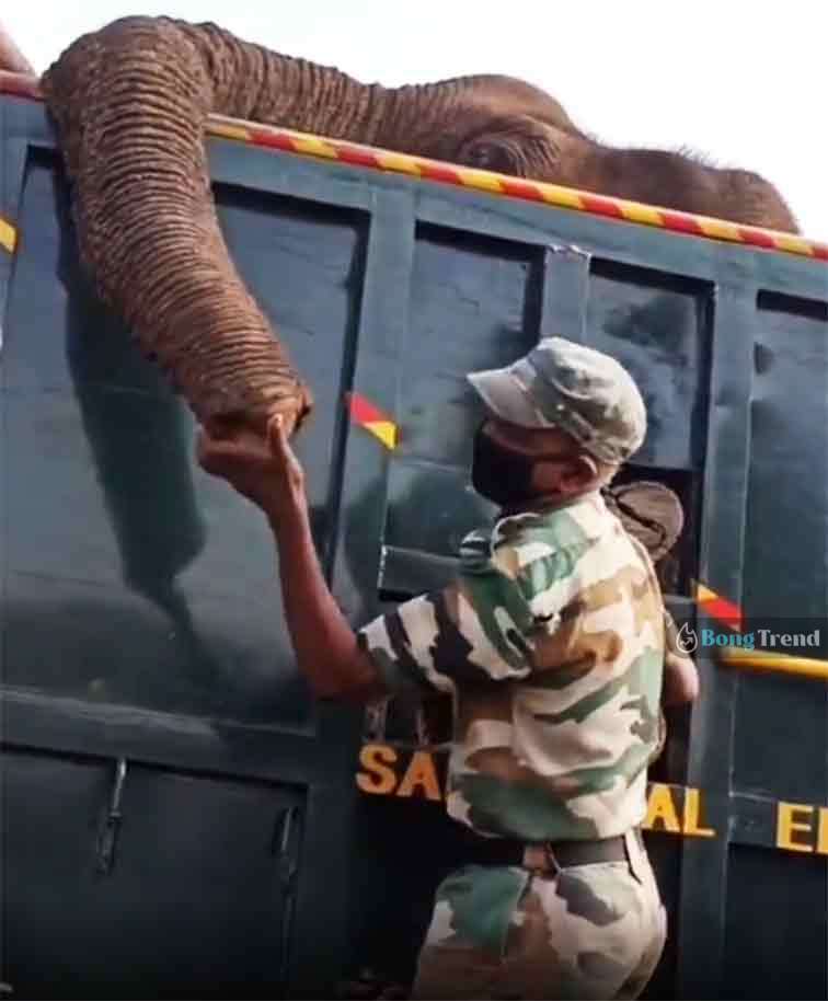 forest ranger cried for dead elephant Viral Video ভাইরাল ভিডিও