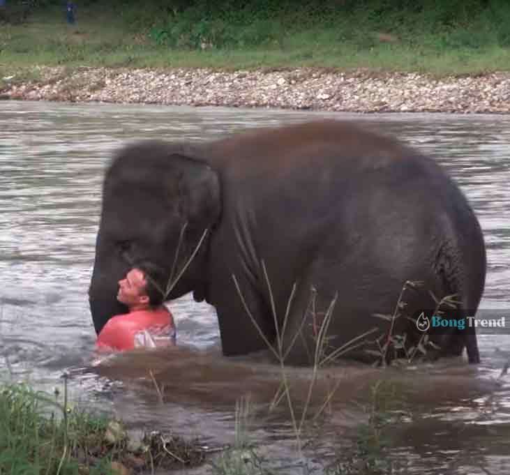 Elephant Saves Man from Drowning Viral Videoহাতি বাঁচালো এক মানুষের প্রাণ ভাইরাল ভিডিও