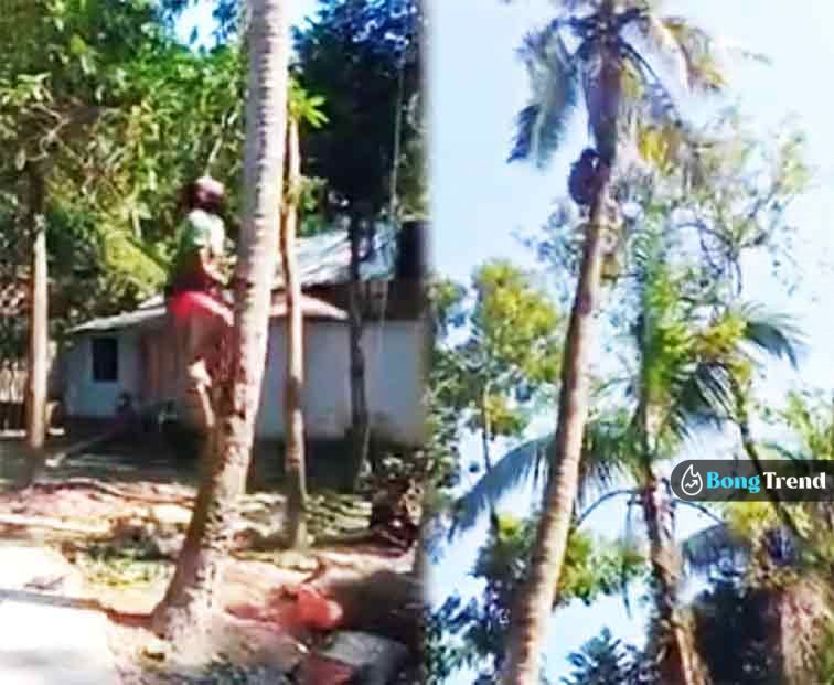 Viral Video ভাইরাল ভিডিও Man Climbing tree like monkey