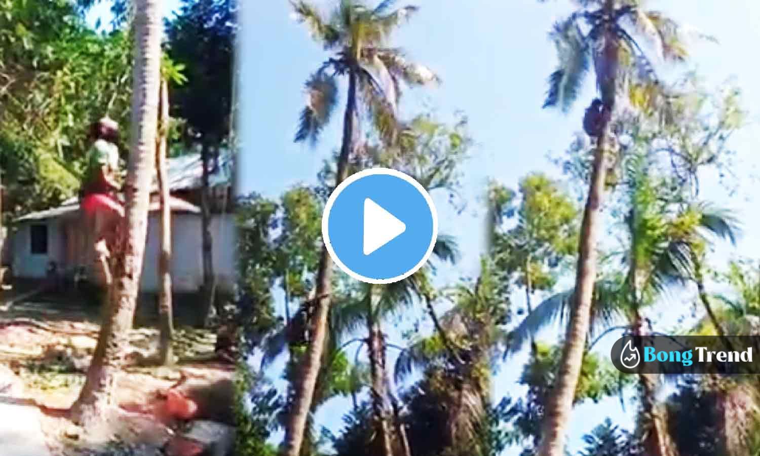 Viral Video ভাইরাল ভিডিও Man Climbing tree like monkey