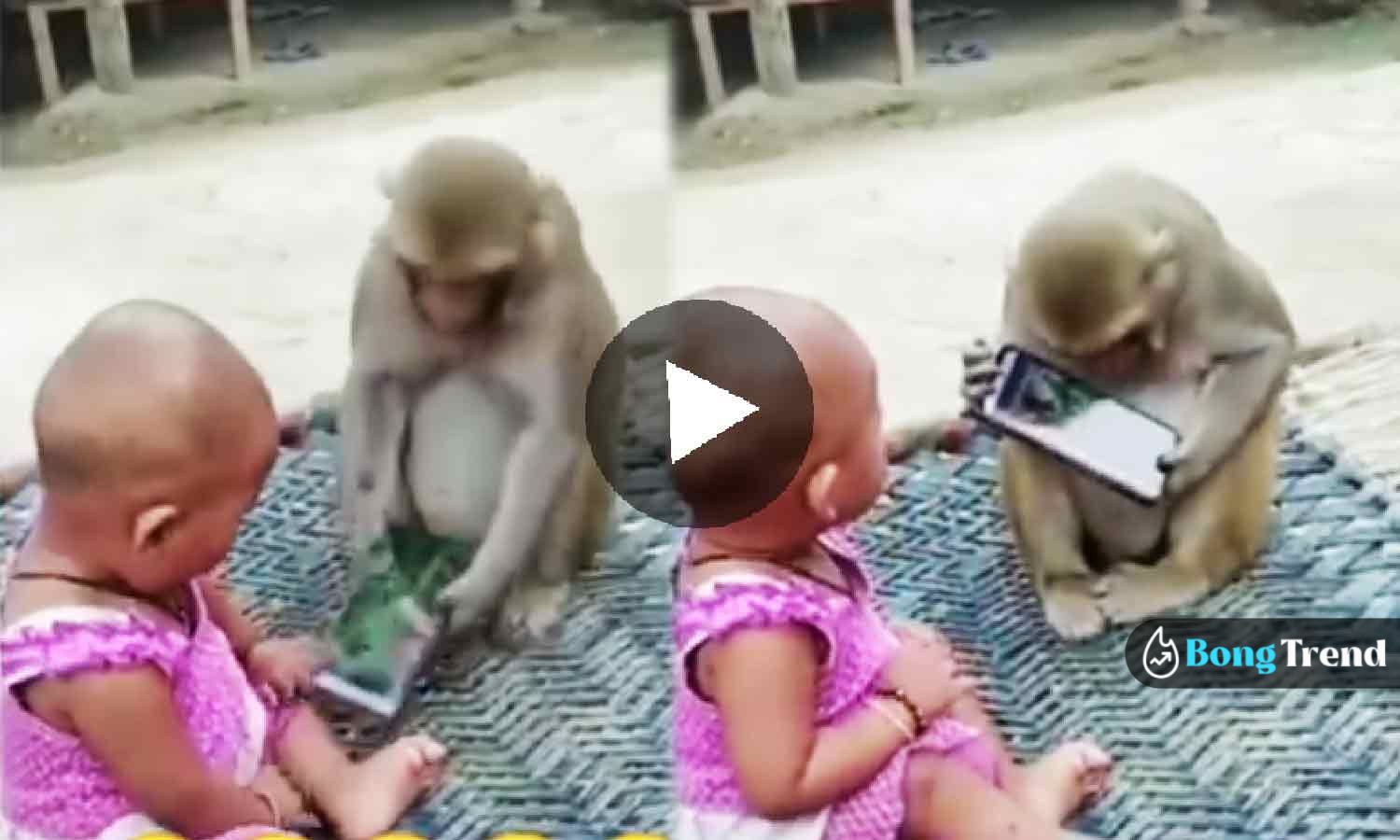 Monkey addicted to smartphone viral video