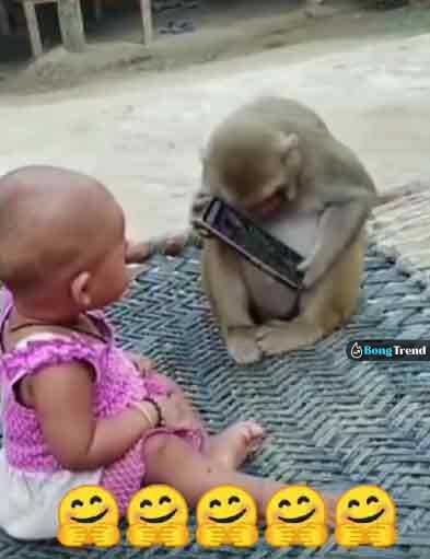 Monkey addicted to smartphone viral video