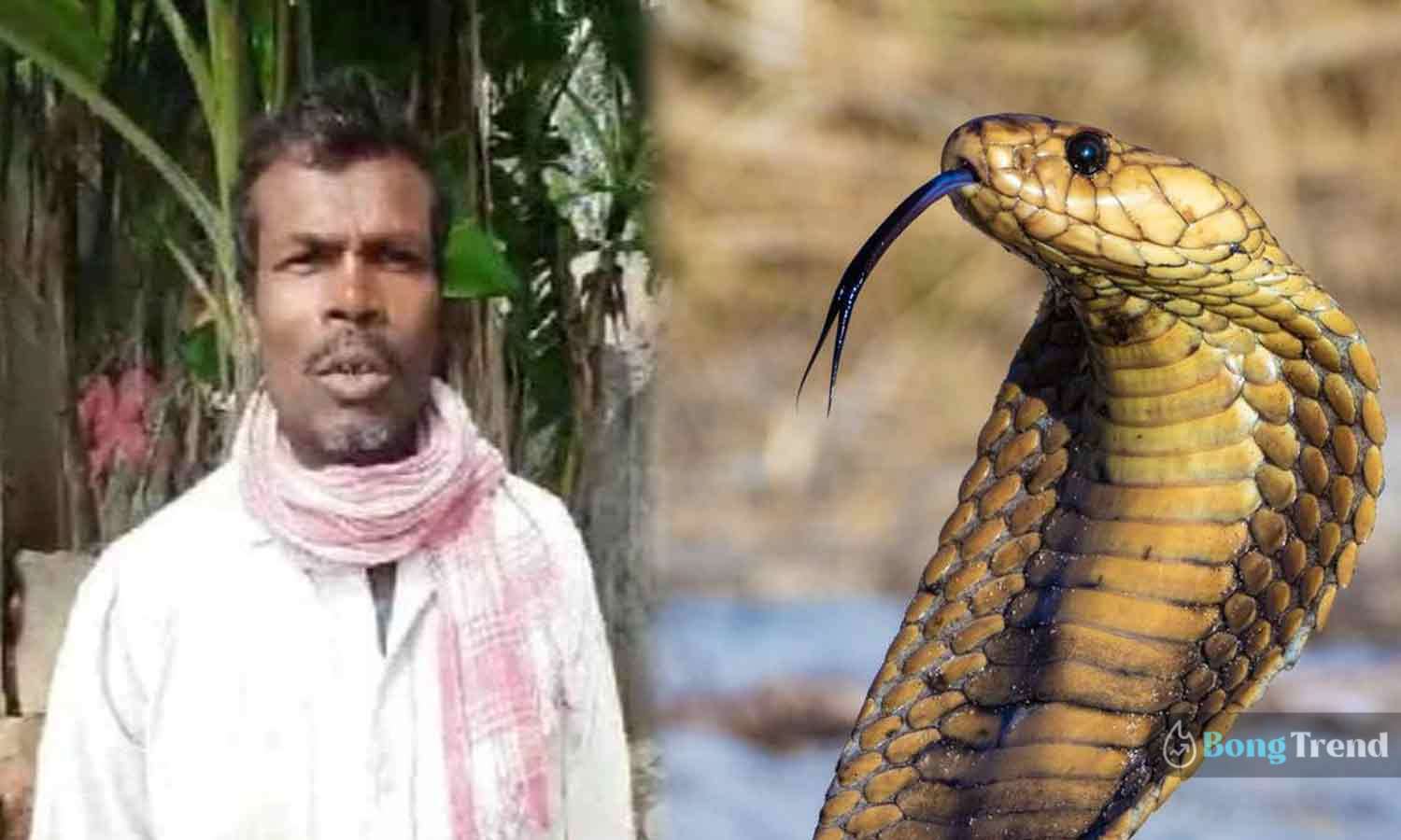Cobra bites a man 72 times
