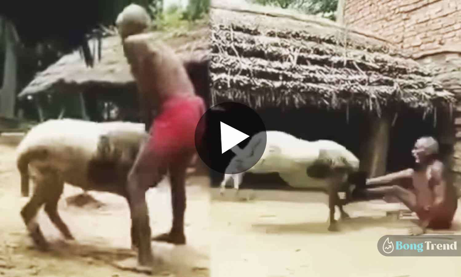 Viral Video ভাইরাল ভিডিও Old man fights with goat