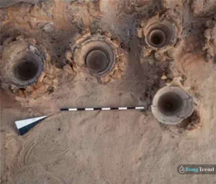 5000 year old Beer Factory Discoverd in Egypt