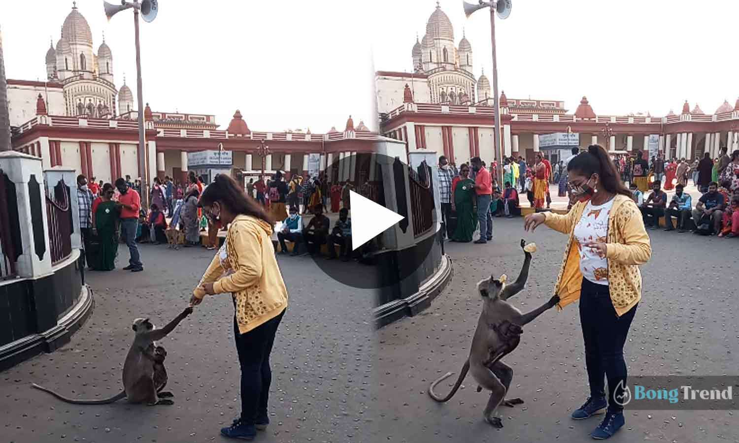 Viral Video ভাইরাল ভিডিও হনুমান জামা ধরে টানছে এক যুবতীর