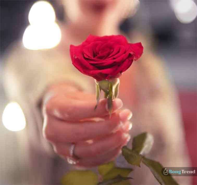 ফেব্রুয়ারী February Day List 7th February Rose Day