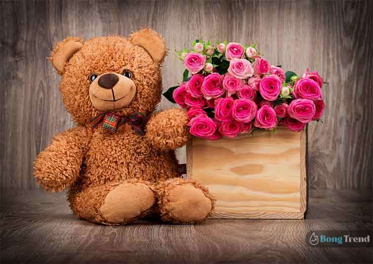 ফেব্রুয়ারী February Day List 10th February Teddy Day