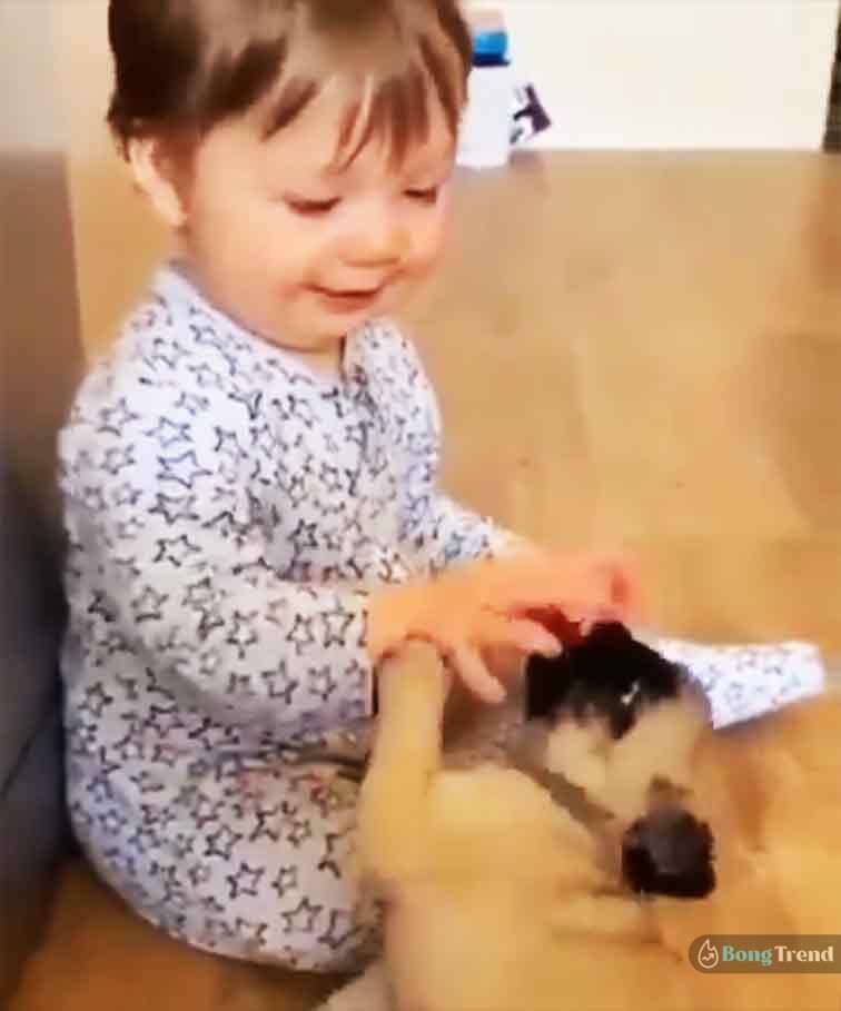 Viral Video of Cute girl playing with Puppies