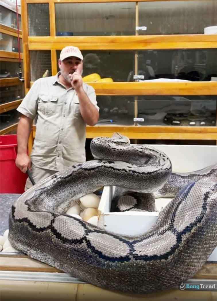 Viral Video Man save by fraction of second from Giant Python
