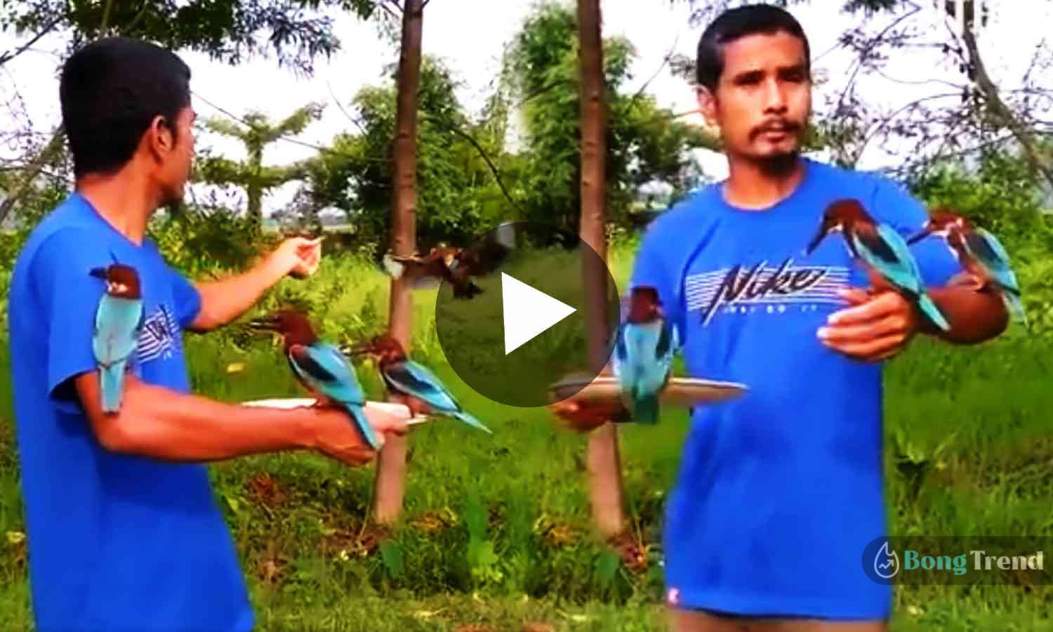 Viral Video Man Feeding Birds