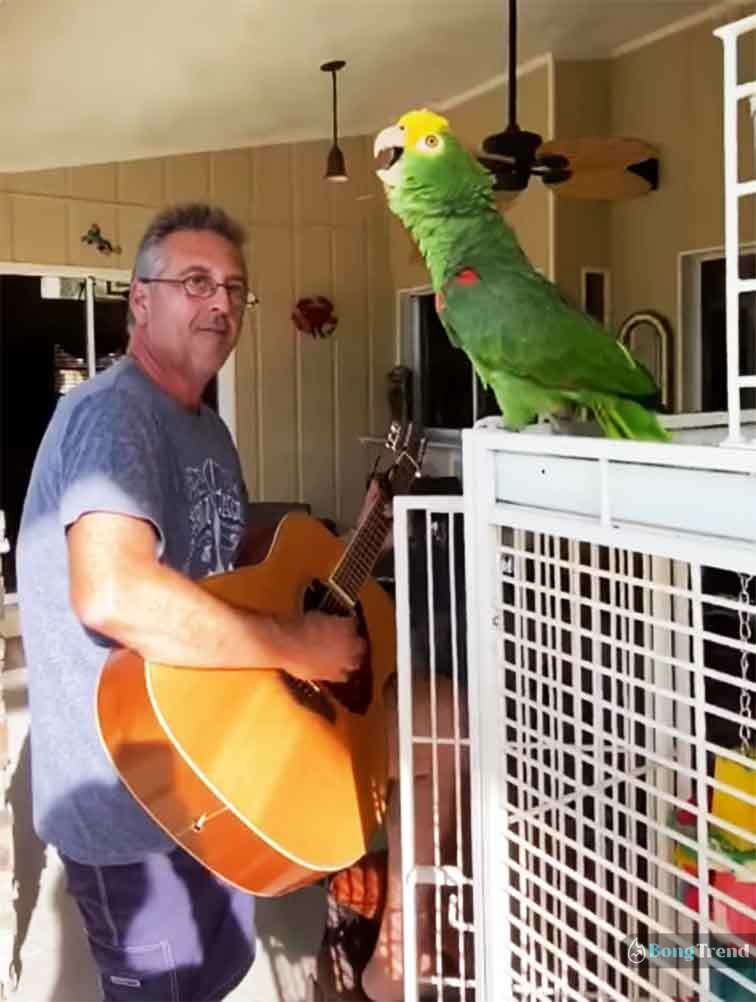 Viral Video of Parrot singing on Guitar Tune