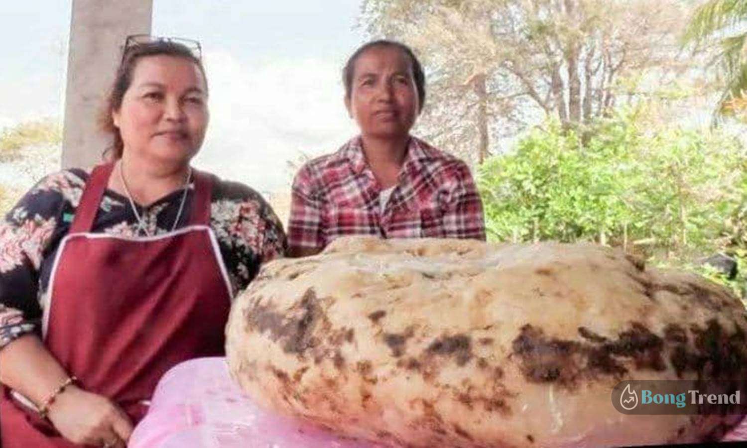 তিমির বমি,থাইল্যান্ড,অ্যামবারগ্রিস Ambergris,Thailand,thai woman,whale