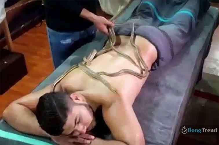Snake Massage,Snake Massage Parlour,Snake Massage in Cairo