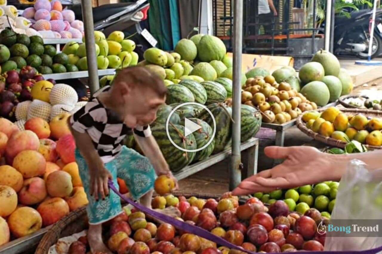 বানর,ভাইরাল ভিডিও,ভিডিও,ভাইরাল,monkey,viral video,video,a monkey selling fruits