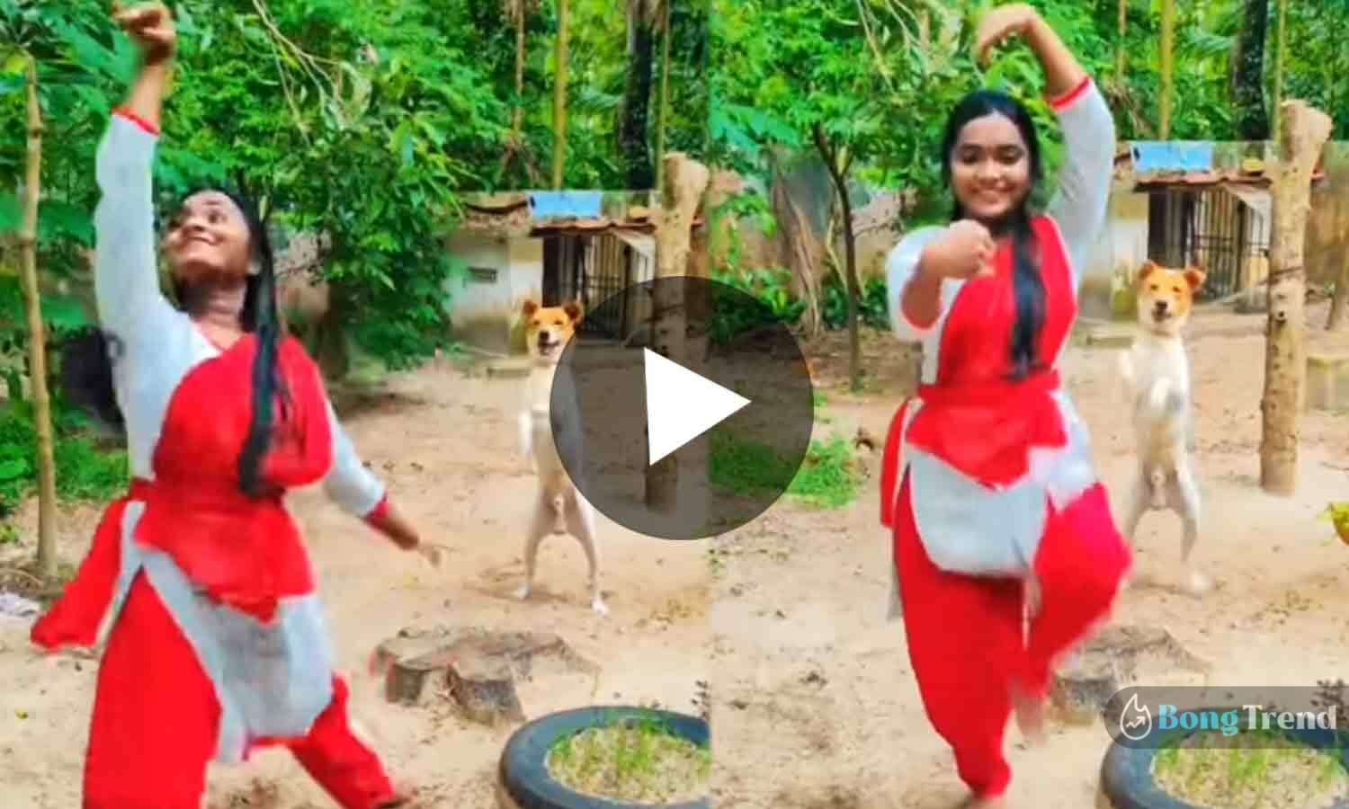 ভাইরাল ভিডিও Viral Video of dog dancing on beats with girl