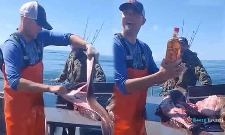 Viral Video Fisherman finds a whiskey bottle inside a fish
