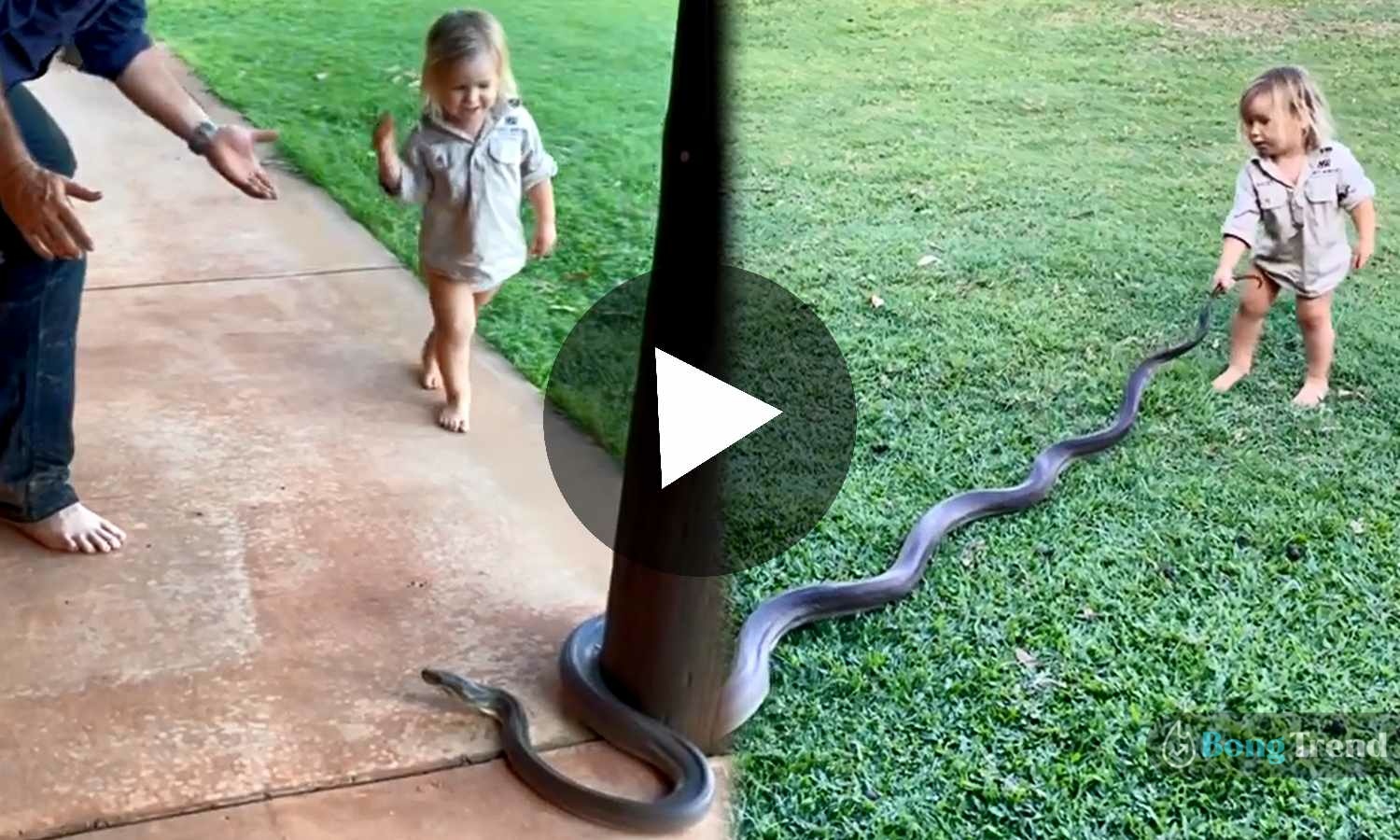 little girl pulling giant snake by tail viral video,ভাইরাল ভিডিও,সাপ,Viral Video,Giant Snake,Snake Video,little girl with giant snake