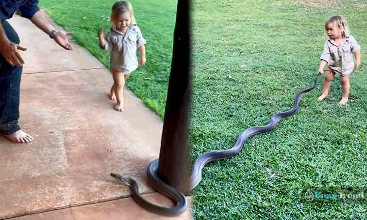 little girl pulling giant snake by tail viral video,ভাইরাল ভিডিও,সাপ,Viral Video,Giant Snake,Snake Video,little girl with giant snake