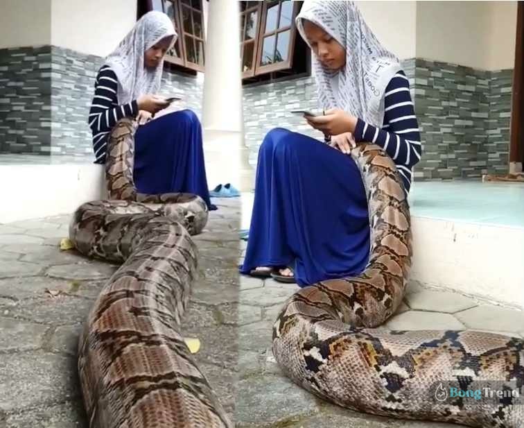 giant snake with little girl viral video,Viral Video.ভাইরাল ভিডিও,সাপের ভিডিও,অজগর সাপ,Python Snake,Snake Video
