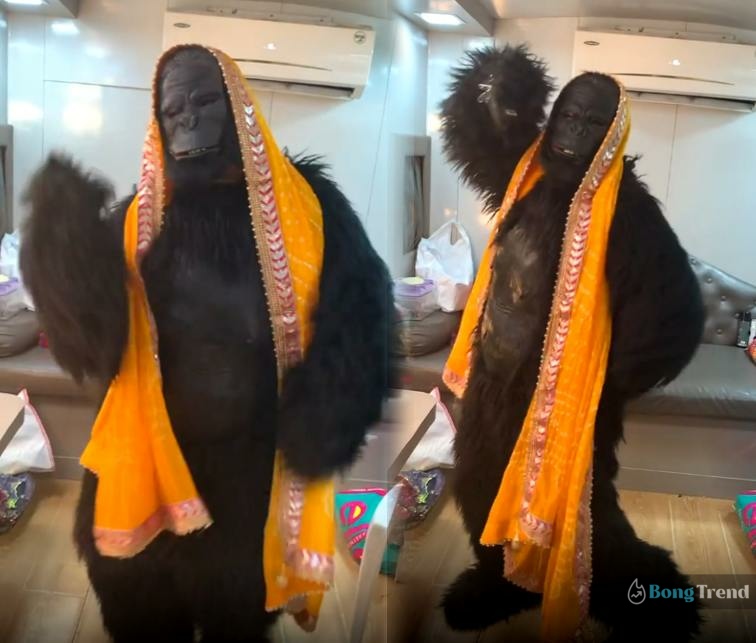 Rakhi Sawant dressed as chimpanzee,Chimpanzee Dance,Rakhi Sawant Dancing,রাখি সাওয়ান্তের নাচ,রাখি সাওয়ান্ত,বলিউড,ভাইরাল ভিডিও