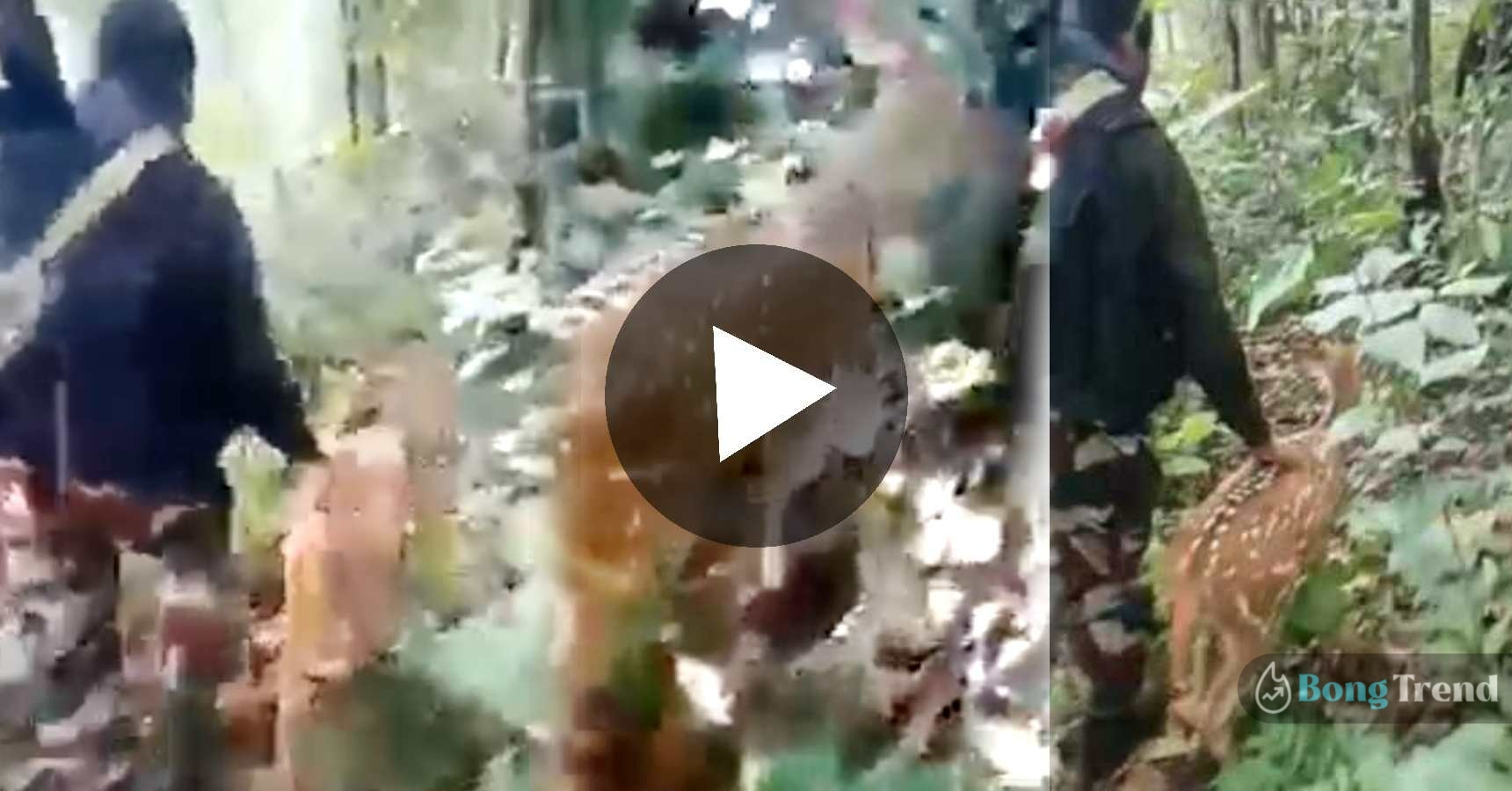 ভাইরাল ভিডিও,ভারতীয় সেনাবাহিনী,Indian Army,Viral Video,Deer in Jungle