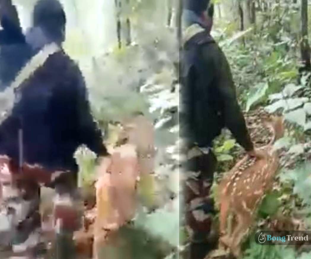 ভাইরাল ভিডিও,ভারতীয় সেনাবাহিনী,Indian Army,Viral Video,Deer in Jungle