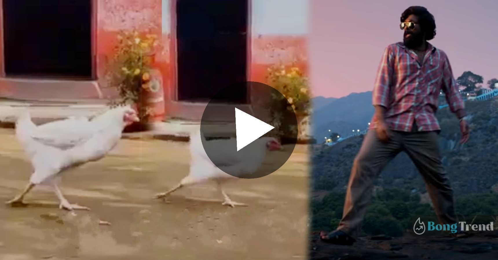 Chicken Dancing on Allu Arjun Pushpa Style Viral Video