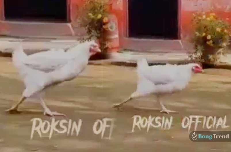 Viral Video,Chicken Dancing on Allu Arjun Style,ভাইরাল ভিডিও,মুরগির নাচ,আল্লু অর্জুন,পুষ্পা,Srivalli,Chicken Dancing on Srivalli song