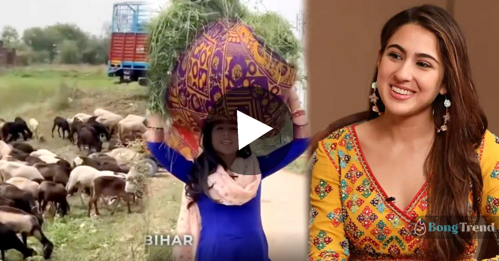 Sara Ali Khan in bihar carrying grass Viral Video