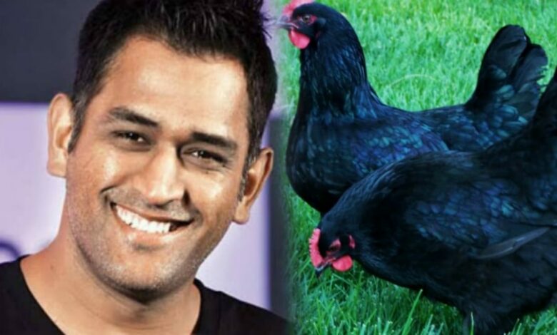 Mahendra Singh Dhoni farming Black Chicken