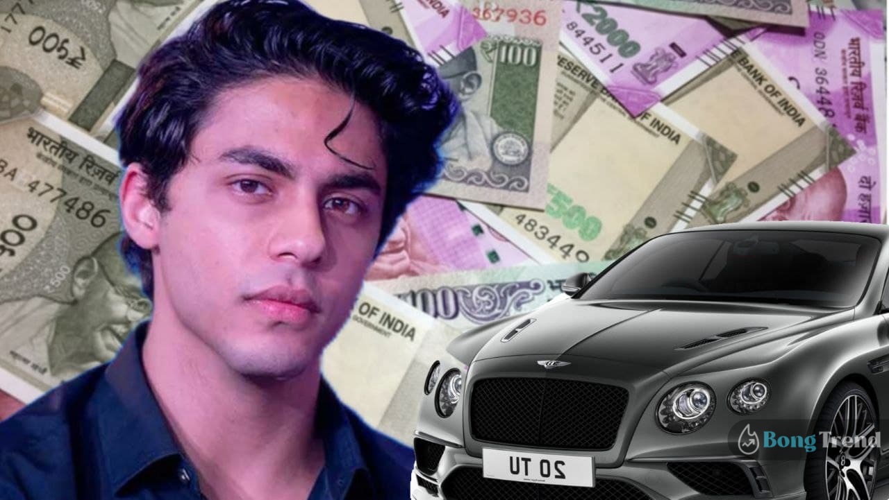 aryan khan,shah rukh khan,bollywood,property,আরিয়ান খান,শাহরুখ খান,বলিউড,সম্পত্তি