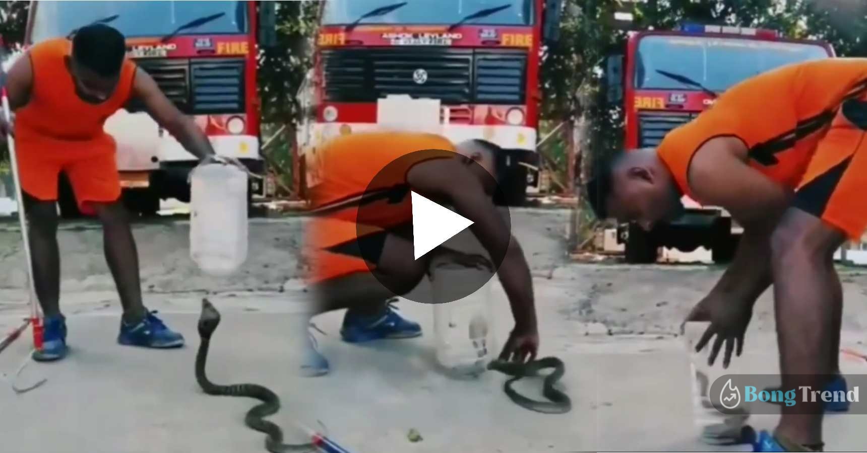 Man catches snake in jar with bare hand viral video