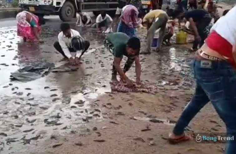 Raining fish viral video from bihar 1