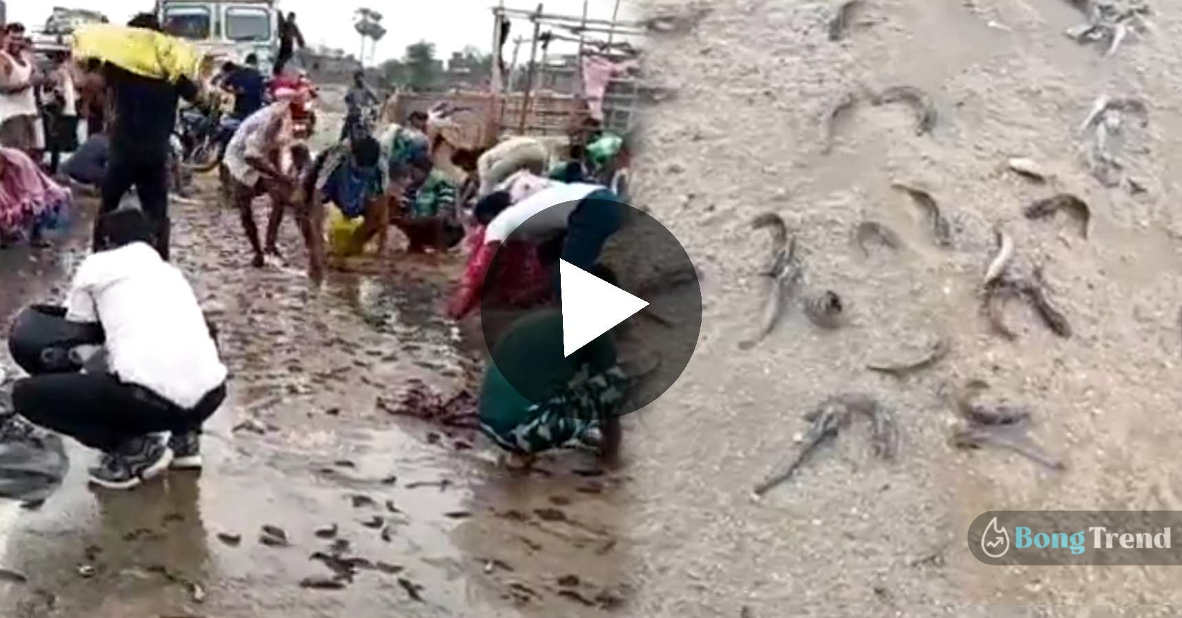 Raining fish viral video from bihar