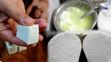 how to make Make soft Paneer at home