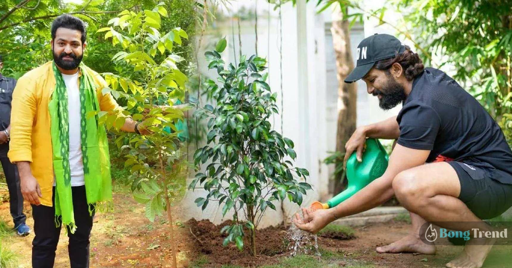 these 4 South indian superstars care for nature