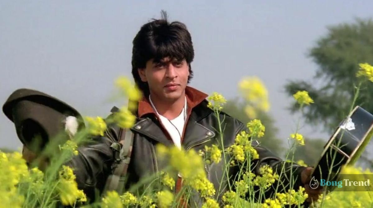 Shah Rukh Khan in Dilwale Dulhania Le Jayenge