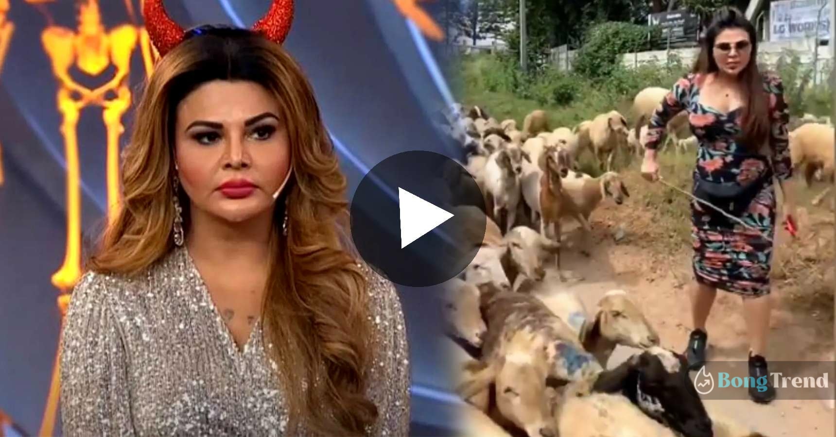 Rakhi Sawant hilirious video of sheep herding viral