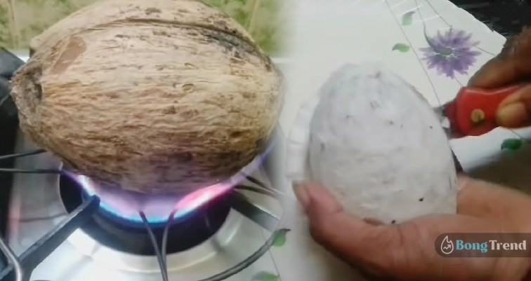 Peel Coconut faster without any hussle tips