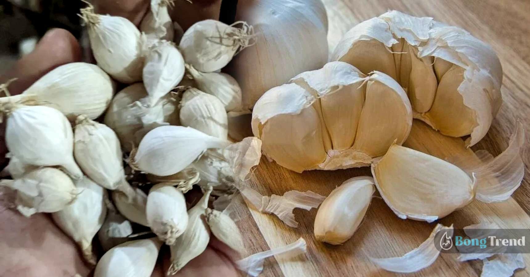Small piece of Garlic can help over come financial crysis vastu tips
