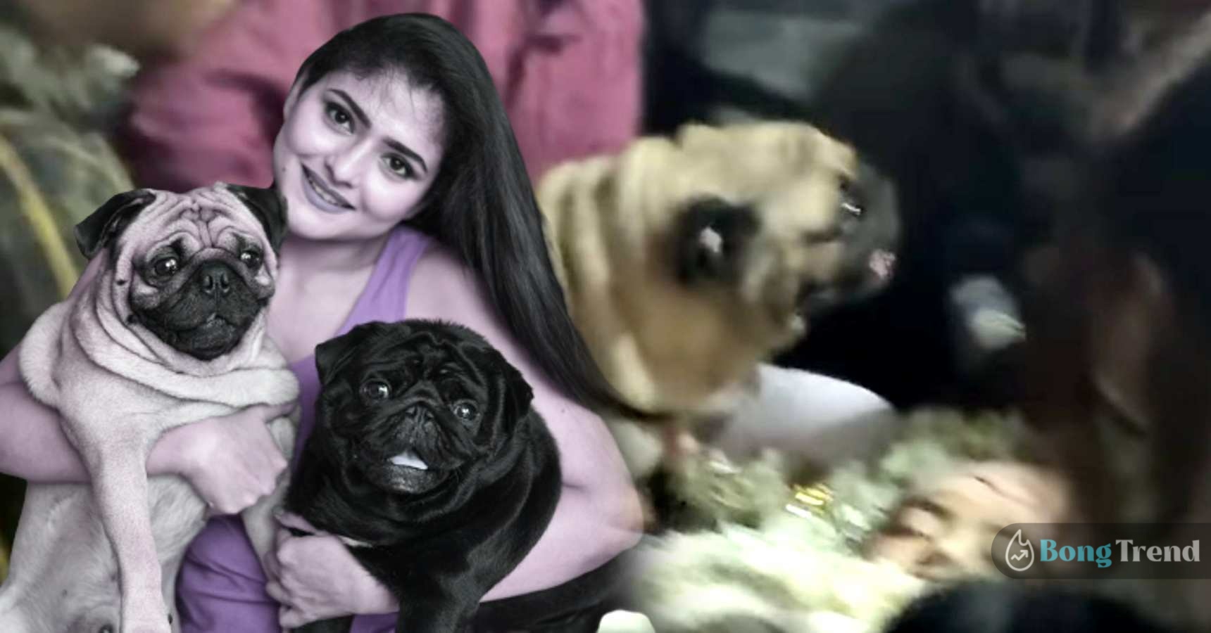 Aindrila Sharma Sharma pet dogs seeing actress for last time