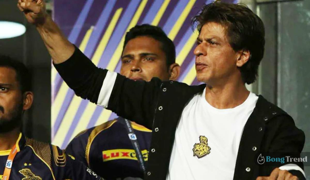 Shah Rukh Khan KKR