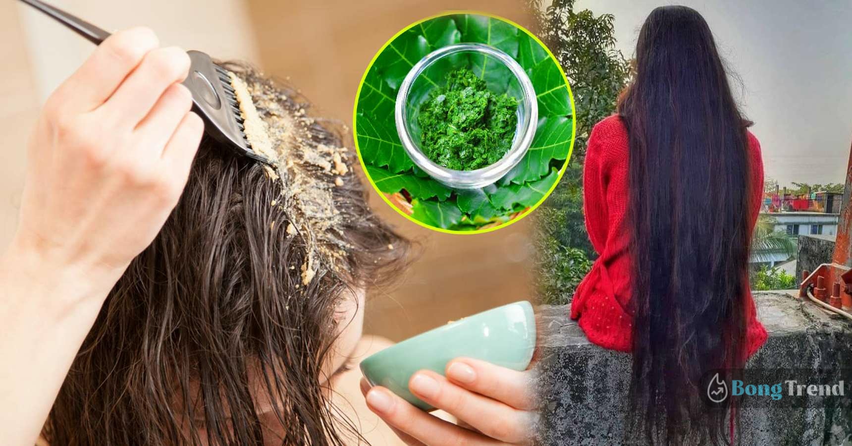 Hair fall problem solution with Neem hair pack