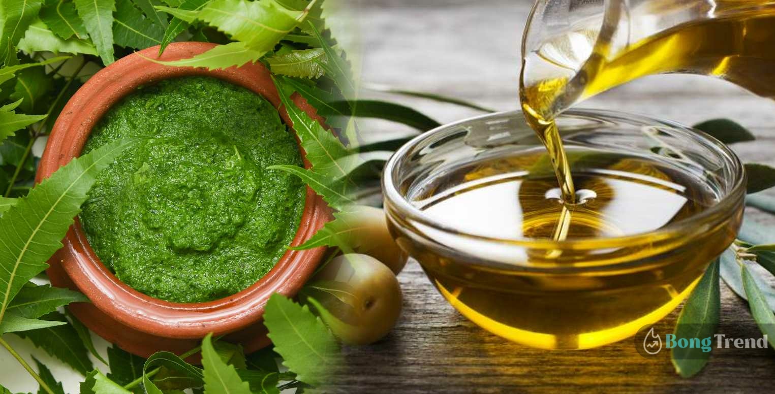Neem leaf and Olive Oil