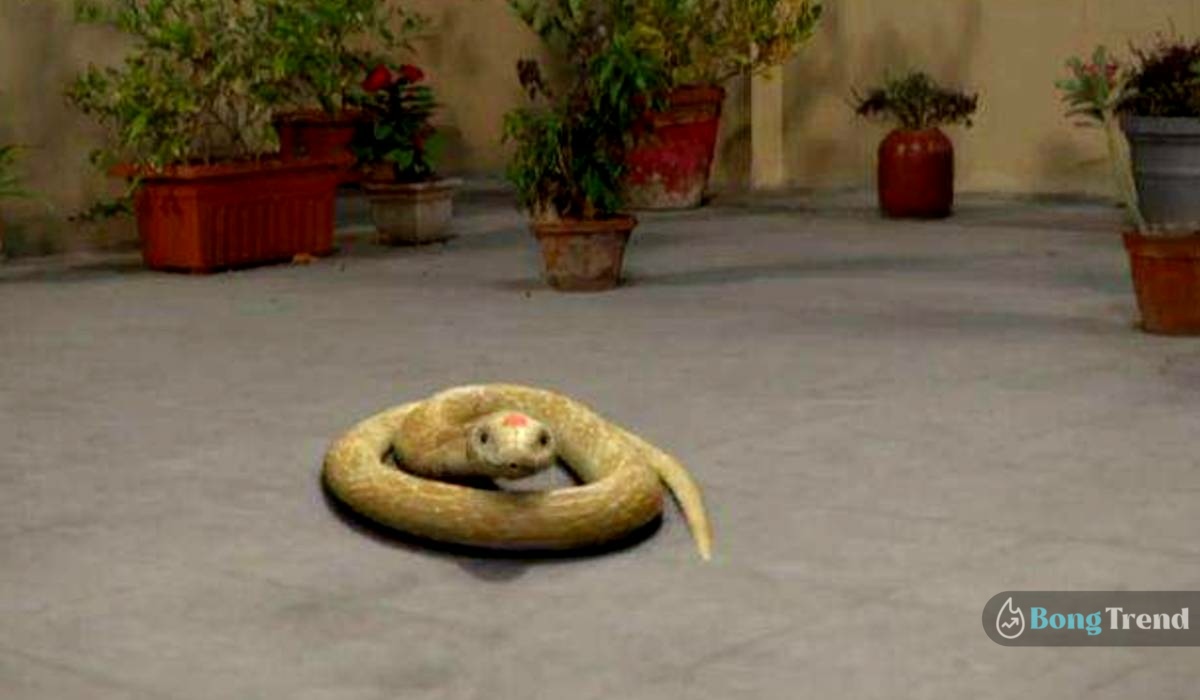Panchami snake wearing sindoor